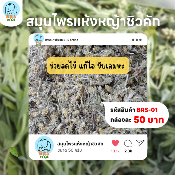 สมุนไพรแห้งหญ้าชิวคัก